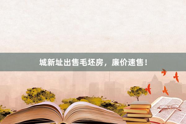 城新址出售毛坯房，廉价速售！